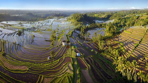 Aerial view of Bali Rice Terraces. The beautiful and dramatic rice fields of Jatiluwih in southeast Bali have been designated the prestigious UNESCO world heritage site.