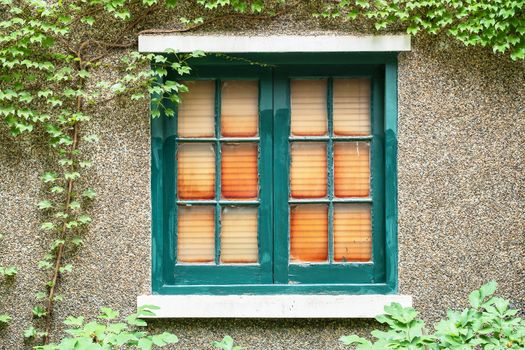 Antique wooden window frame on stone wall facade with creepers.