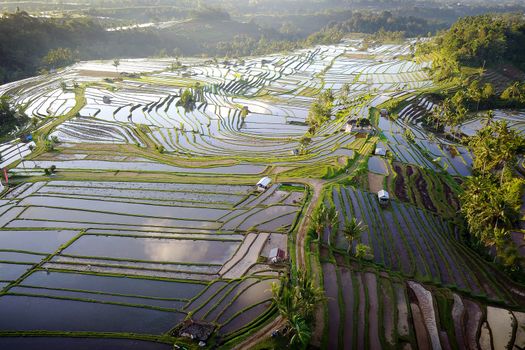 Aerial view of Bali Rice Terraces. The beautiful and dramatic rice fields of Jatiluwih in southeast Bali have been designated the prestigious UNESCO world heritage site.