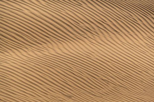 Beautiful sand dune in Thar desert, Jaisalmer, Rajasthan, India.