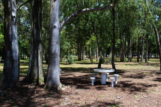 Park, forest, picnic area and table. Park in Beja, Portugal.
