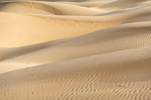 Beautiful sand dune in Thar desert, Jaisalmer, Rajasthan, India.