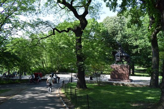 New York, United States of America - June 17, 2020: The beautiful central park in New York in a sunny summer day