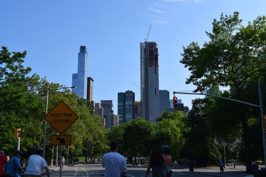 New York, United States of America - June 17, 2020: The beautiful central park in New York in a sunny summer day