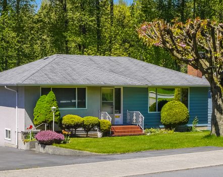 Average residential house with decorative plants on the front yard