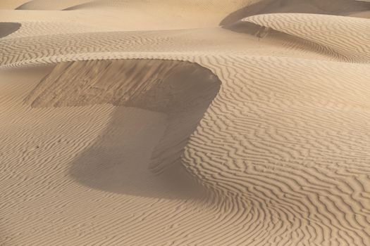 Beautiful sand dune in Thar desert, Jaisalmer, Rajasthan, India.