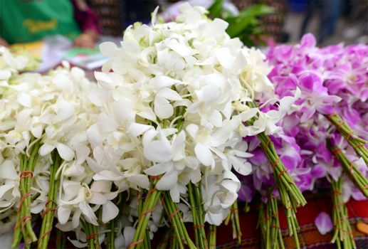 Fresh orchids, pink, white, bundle for sale in the market Thailand.