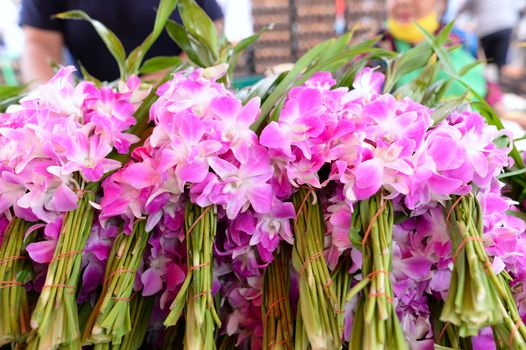 Fresh orchids, pink, white, bundle for sale in the market Thailand.