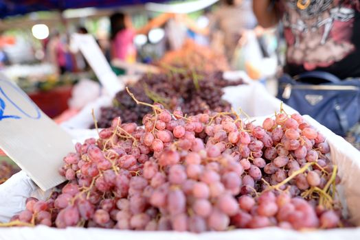 Many fresh Champagne Grapes, Thai tropical fruits that nutrition for sell in the market.