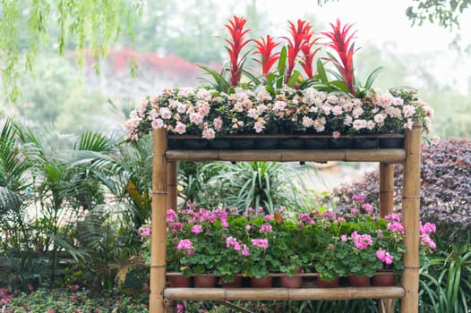 Flowers assortment on a bamboo table in Culture park, Chengdu, China