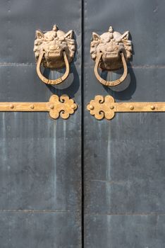 Golden colored chinese door knockers on a grey gate