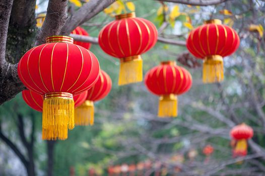 Red chinese lanterns hanging on trees in culture park, Chengdu China