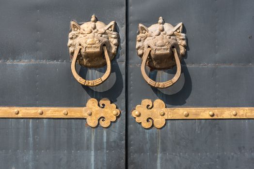 Golden colored chinese door knockers on a grey gate