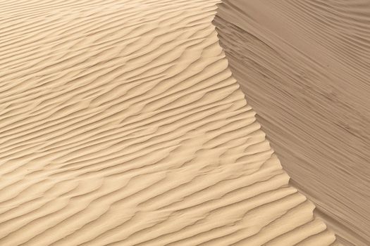 Beautiful sand dune in Thar desert, Jaisalmer, Rajasthan, India.