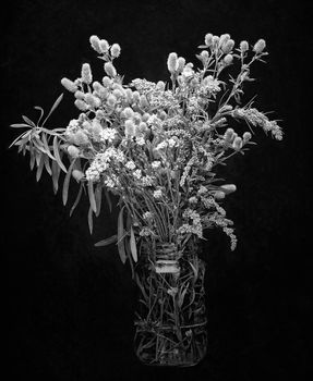 A bunch of wild plants and flowers from the meadow, in a glass jar, isolated on black background