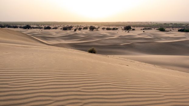 Beautiful sand dune in Thar desert, Jaisalmer, Rajasthan, India.