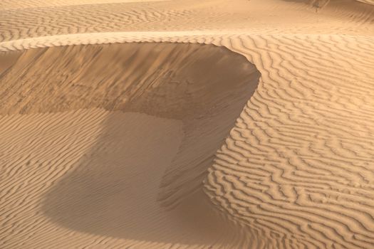 Beautiful sand dune in Thar desert, Jaisalmer, Rajasthan, India.