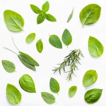 Various fresh herbs for cooking ingredients peppermint , sweet basil ,rosemary and sage on white wooden background with flat lay.