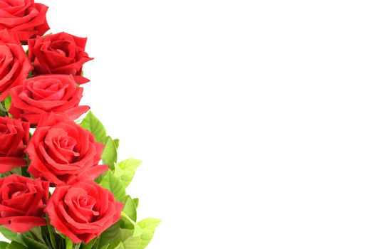 Red roses for valentine on white background.