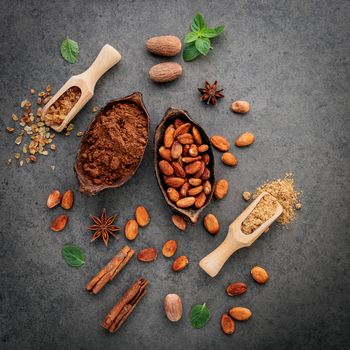 Cocoa powder and cacao beans on stone background.