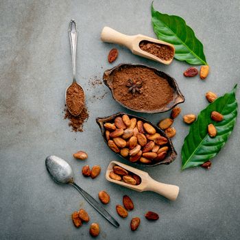 Cocoa powder and cacao beans on concrete background.