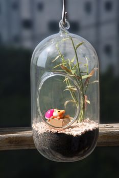 Decoration of small garden in glass container hanging by window.