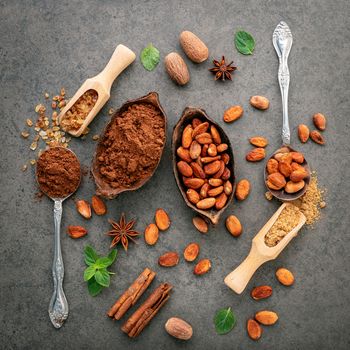 Cocoa powder and cacao beans on stone background.