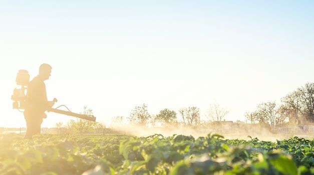 Farmer spraying plants with pesticides in the early morning. Protecting against insect and fungal infections. The use of chemicals in agriculture. Agriculture and agribusiness, agricultural industry.