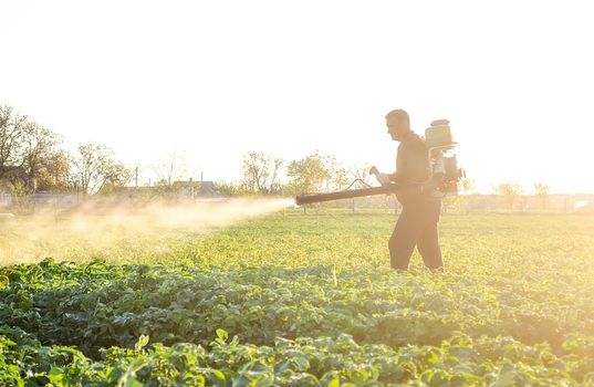 A farmer sprays a solution of copper sulfate on plants of potato bushes. Fight against fungal infections and insects. Use chemicals in agriculture. Agriculture and agribusiness, agricultural industry.