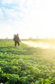 A farmer sprays a potato plantation with pesticides. Protecting against insect plants and fungal infections. The use of chemicals in agriculture. Agriculture and agribusiness, agricultural industry.