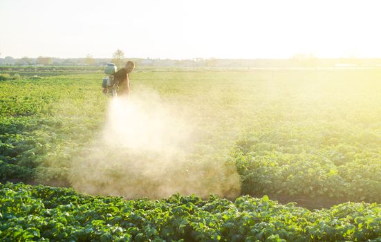 A farmer sprays a potato plantation with pesticides. Protecting against insect plants and fungal infections. Agriculture and agribusiness, agricultural industry. The use of chemicals in agriculture.