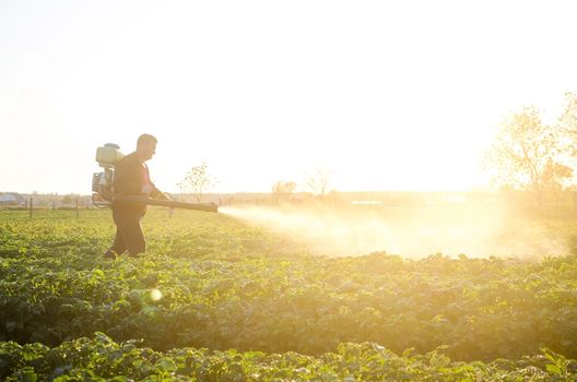 A farmer sprays a solution of copper sulfate on plants of potato bushes. Agriculture and agribusiness, agricultural industry. Fight against fungal infections and insects. Use chemicals in agriculture.