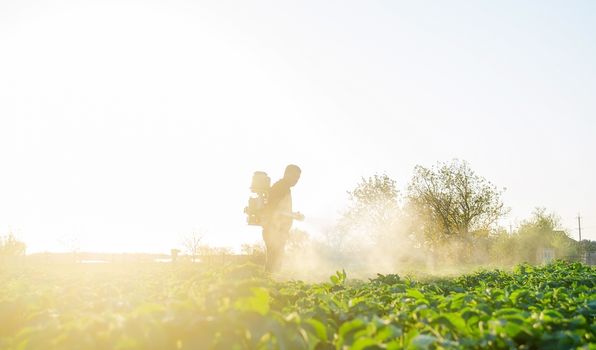 Farmer spraying plants with pesticides in the early morning. Protecting against insect and fungal infections. Agriculture and agribusiness, agricultural industry. The use of chemicals in agriculture.