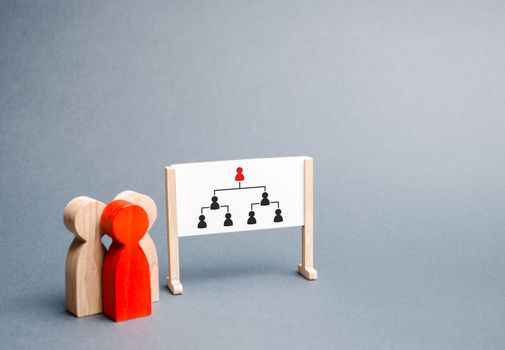 A group of people stands near the stand with the image of the hierarchy in the organization. Business collection, information on whiteboard. Report and strategy development. Selective focus