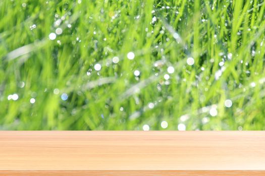 wood plank on blurred bokeh soft grass nature background, empty wood table floors on bokeh of dew grass natural green, wood table board empty front background grass abstract light green
