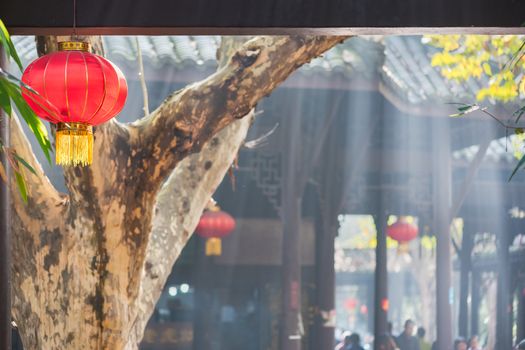 Chinese lantern hanging on a tree with sunbeam on a tearoom in the background