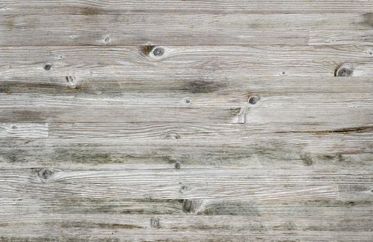 Close-up bright wood texture. High resolution picture of blank space for many uses.