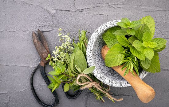 Alternative medicine fresh herbs in the stone mortar . Food ingredients and seasoning  peppermint , rosemarry and lemon balm  in a stone mortar set up on dark concrete background.