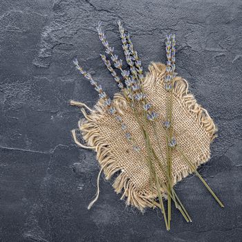 Violet lavender flowers on dark concrete background.   Dry lavender flowers flat lay and copy space.