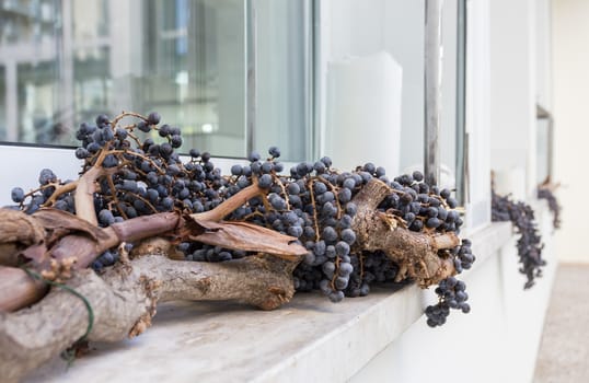 Sprigs of blueberries on the windowsill. Abstract urban background. Shallow depth of field.