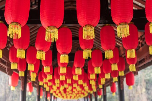 Red chinese lanterns in Baihuatan public park Chengdu China for the Chinese new year celebrations.