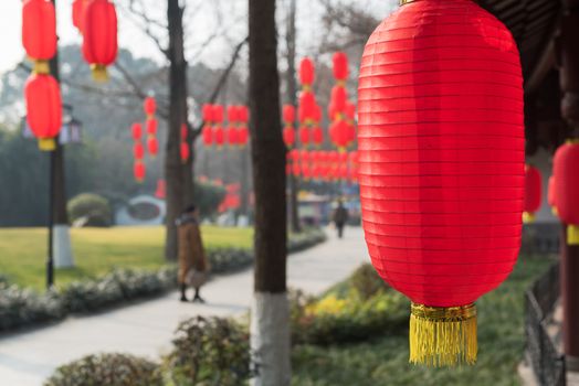 Red chinese lanterns hanging on trees in Baihuatan public park Chengdu China for the Chinese new year celebrations.