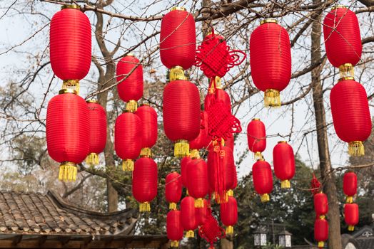 Red chinese lanterns hanging on trees in Baihuatan public park Chengdu China for the Chinese new year celebrations.