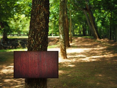 A Blank wooden square sign on a tree in the forest beside the house.