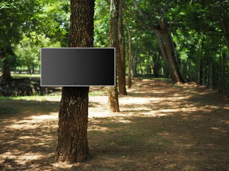 A Blank square sign on a tree in the forest beside the house.