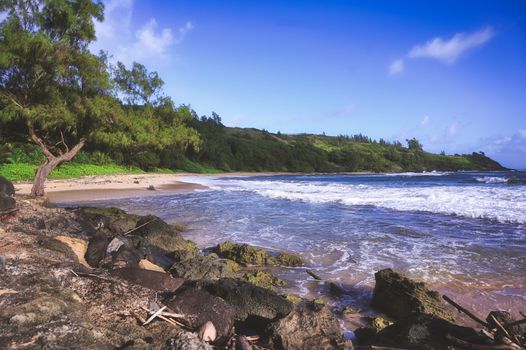 A beach on the coast of Kauai, Hawaii.