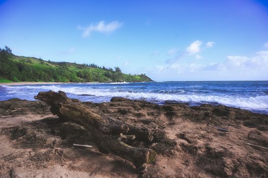 A beach on the coast of Kauai, Hawaii.