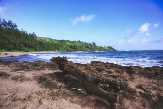 A beach on the coast of Kauai, Hawaii.