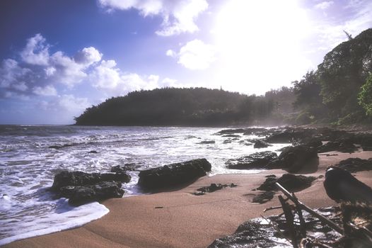 A beach on the coast of Kauai, Hawaii.