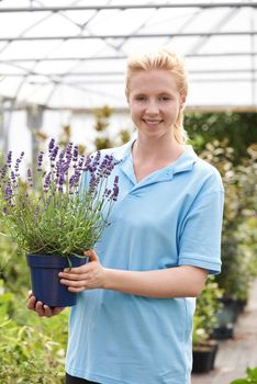 Portrait Of Female Employee At Garden Center Holding Plant